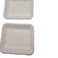 Umweltfreundliches  biologisch abbaubares weißes rechteckiges Einweg-Food-Tablett