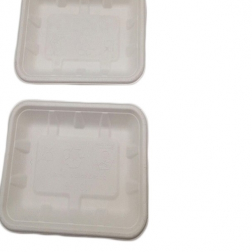 Eco friendly biodegradable disposable white rectangle food tray