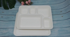 Popular hot sale 100% serving sugarcane food tray