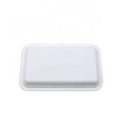 Disposable Tableware Eco Friendly Bagasse Sugarcane trays for Food