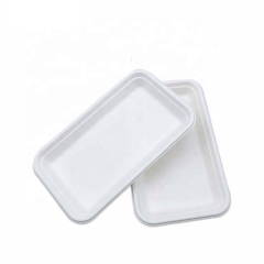 Disposable Biodegradable Compostable Bagasse Big Tray Sugarcane Tray