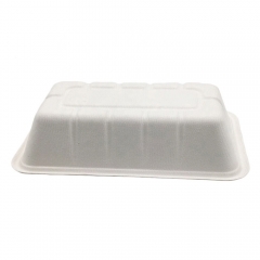 Biodegradable Tray Compostable Sugarcane Bagasse Lunch Trays