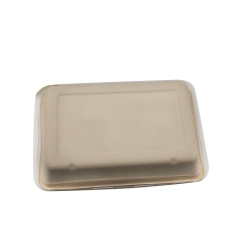 Lunch box degradabile in canna da zucchero con coperchio trasparente