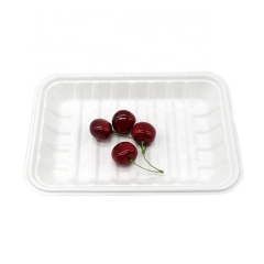 High quality water and oil proof disposable dinner tray biodegradable tray