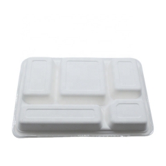 Bandeja biodegradable abonable de la comida del almuerzo del bagazo de la caña de azúcar con la tapa
