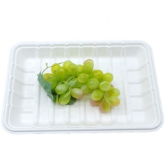 compostable disposable tableware bagasse sugarcane tray for meat