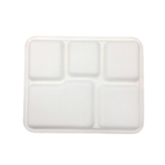 Eco friendly disposable biodegradable bagasse pulp lunch food tray