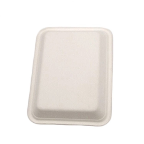 New arrival sugarcane bagasse tableware disposable biodegradable supermarket meat tray