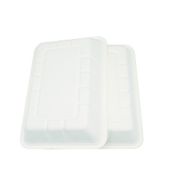 New design disposable biodegradable sugarcane food tray for restaurant