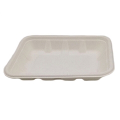 Plateau de nourriture en bagasse compostable jetable en gros pour restaurant