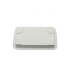 Reasonable Price Eco Biodegradable Compostable Disposable Tray