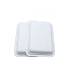 Manufacturer supply hot sale biodegradable trays sugarcane disposable eco friendly biodegradable trays food tray