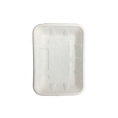 Disposable Fruit Tray Biodegradable Sugarcane Bagasse Takeaway White Trays