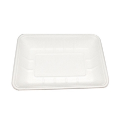 decomposable tray biodegradable sugarcane bagasse food tray eco-friendly