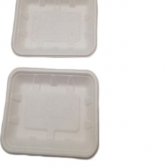 Biodegradable Sugarcane Bagasse Trays Disposable Tray Factory Direct Cheap