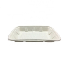 Disposable Biodegradable Sugarcane Bagasse Takeaway White Fruit Tray