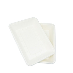 High quality disposable compostable sugarcane meat tray for food