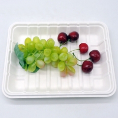 Δίσκοι τροφίμων μίας χρήσης βιοδιασπώμενης ζαχαροκάλαμου