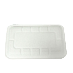 Eco friendly biodegradable disposable bagasse meat tray for restaurant