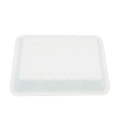 New Eco friendly biodegradable sugarcane meal tray for restaurant