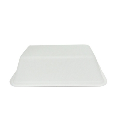 Vaisselle jetable compostable Bagasse Plateau de canne à sucre pour la viande