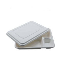 Newest Disposable 5 Compartment Biodegradable Bagasse Tray with Lid