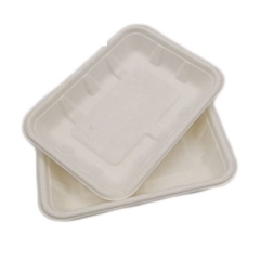 Plateau de nourriture en bagasse compostable jetable en gros pour restaurant