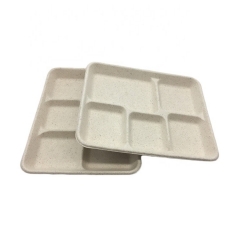 Biodegradable Tray Bagasse Disposable Compostable Lunch Food Trays