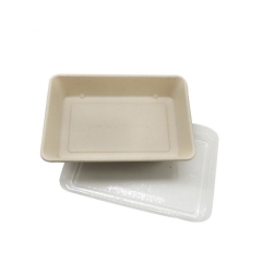 Degradable sugarcane lunch box with transparent lid