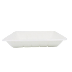 decomposable tray biodegradable sugarcane bagasse food tray eco-friendly