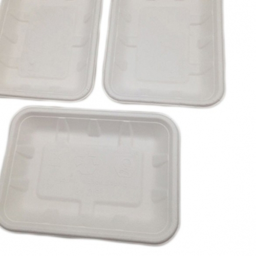 Eco friendly disposable compostable sugarcane bagasse fruit tray