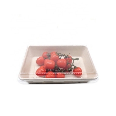 Disposable Sushi Tray Biodegradable Compostable Bagasse Sugarcane Tray
