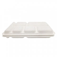 White Disposable Biodegradable 6-Compartment Sugarcane Trays For Food