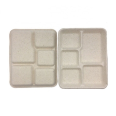 Biodegradable Tray Bagasse Disposable Compostable Lunch Food Trays