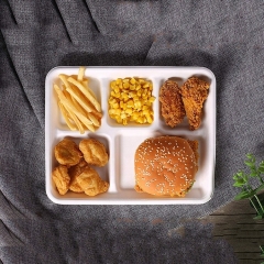 Wholesale price biodegradable sugarcane bagasse disposable 5 compartments lunch food packaging tray