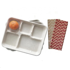 Wholesale price biodegradable sugarcane bagasse disposable 5 compartments lunch food packaging tray