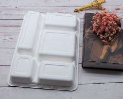 Biologisch abbaubares Tablett mit Zuckerrohr-Bagasse-Fach