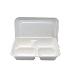 Essenstablett Bagasse