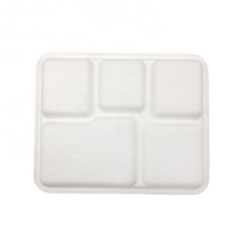 Disposable biodegradable sugarcane pulp department food tray for party