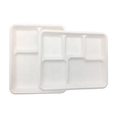 Disposable biodegradable sugarcane pulp department food tray for party