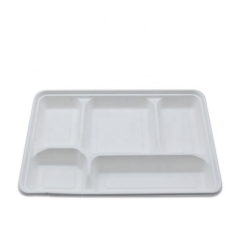 Plateau biodégradable de déjeuner de bagasse de canne à sucre compostable avec le couvercle