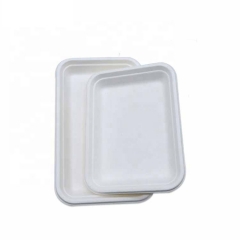 Disposable Biodegradable Compostable Bagasse Big Tray Sugarcane Tray