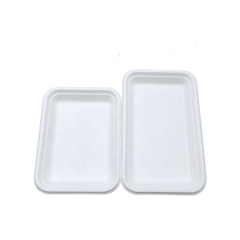 Manufacturer supply hot sale biodegradable trays sugarcane disposable eco friendly biodegradable trays food tray