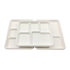 Hot Selling Disposable Biodegradable 5 Compartment Sugarcane Paper Food Tray