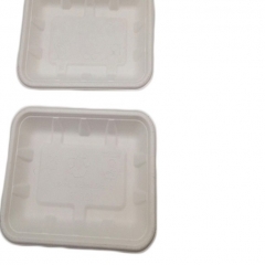 High Quality Compostable Biodegradable Disposable Tray Eco Friendly Sugarcane Pulp Tray