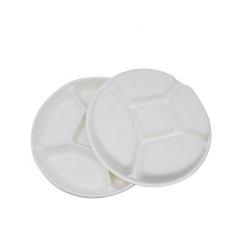 Multifunctional Disposable Biodegradable Sugarcane Pulp Food trays