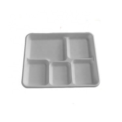 Wholesale price biodegradable sugarcane bagasse disposable 5 compartments lunch food packaging tray