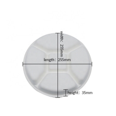 Multifunctional Disposable Biodegradable Sugarcane Pulp Food trays