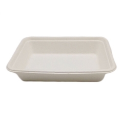 New arrival sugarcane bagasse tableware disposable biodegradable supermarket meat tray