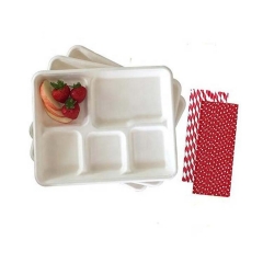 Wholesale price biodegradable sugarcane bagasse disposable 5 compartments lunch food packaging tray